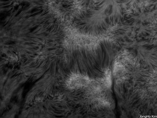 Oregon Sunstone from Sunstone Butte Mine