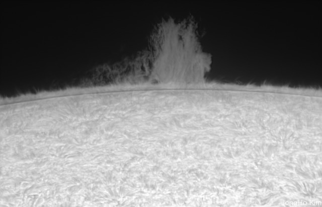 Oregon Sunstone from Sunstone Butte Mine